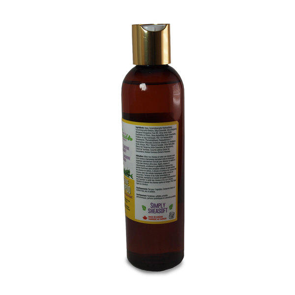 shea butter shampoo